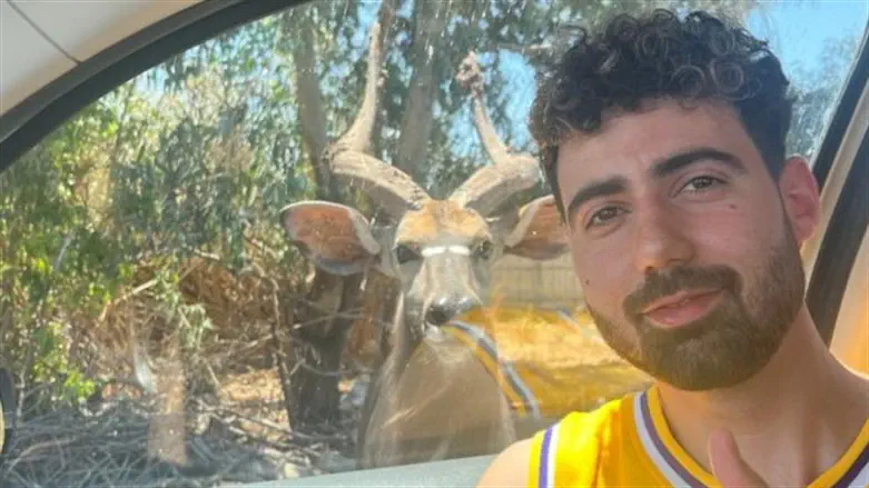 גיא גלבוע