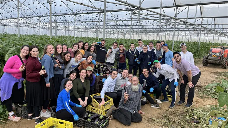 מתנדבים בחקלאות