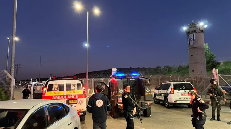 זירת הפיגוע סמוך לגבעת זאב