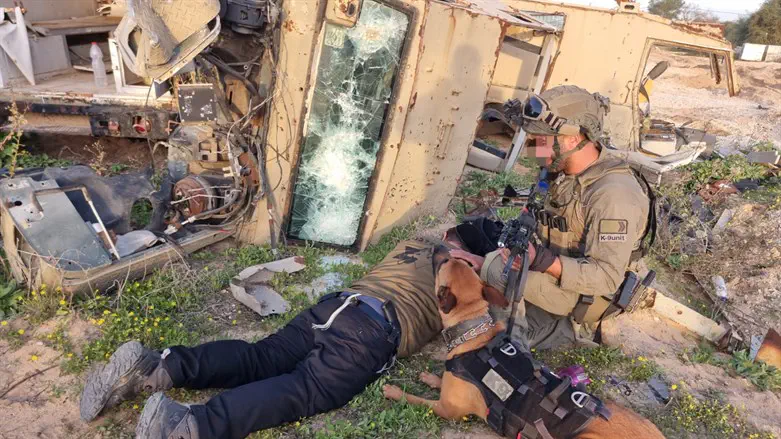 IDU exercise in Gaza region