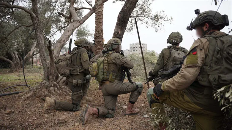 לוחמים, אילוסטרציה