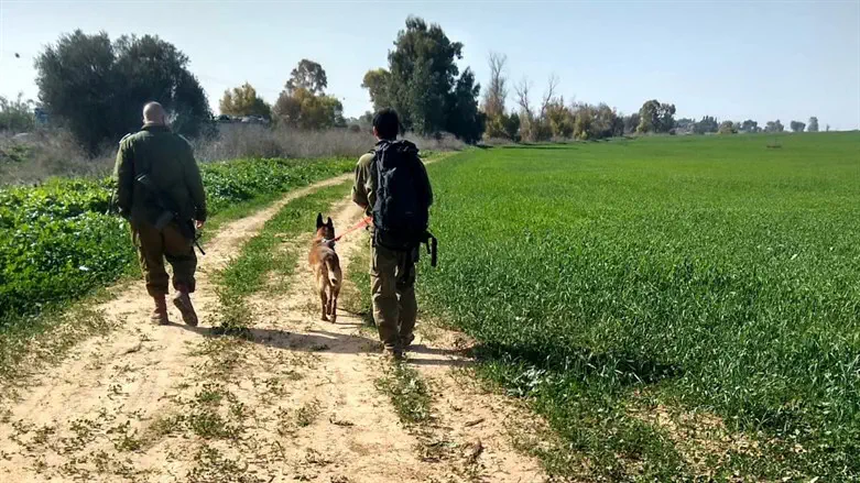 IDU volunteer searching fields near Gaza
