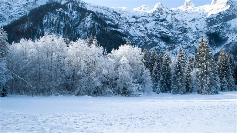 Snow (illustrative)