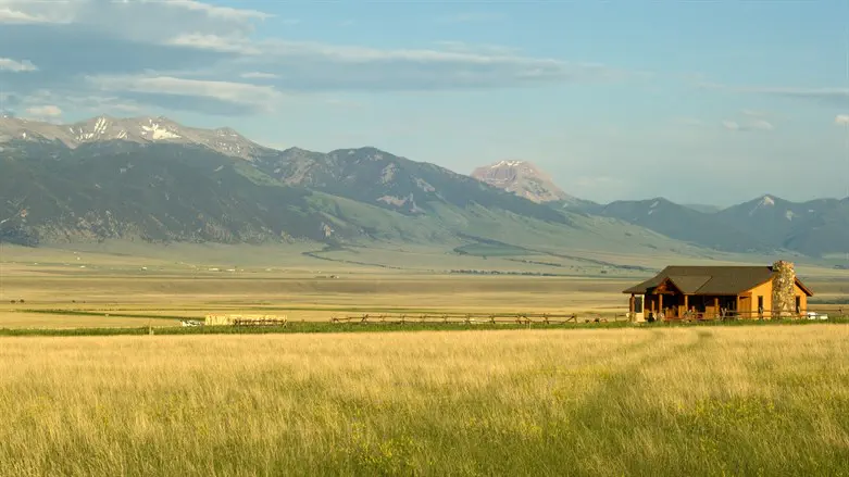 אילוסטרציה