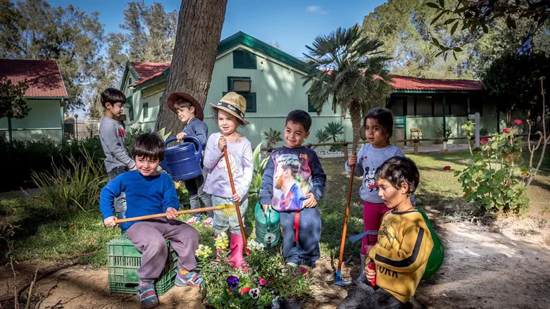 Ту би-Шват – новый год деревьев. Иллюстрация