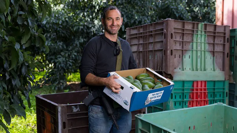 גלעד הונוולד