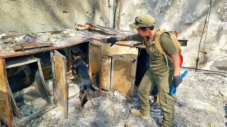 מחפשים גם בישובים וגם בשטח הפתוח