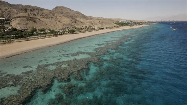 The Red Sea