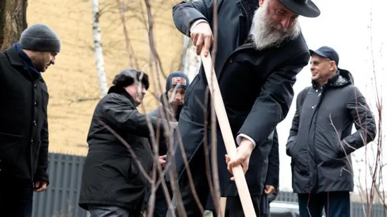 מעמד הנטיעה