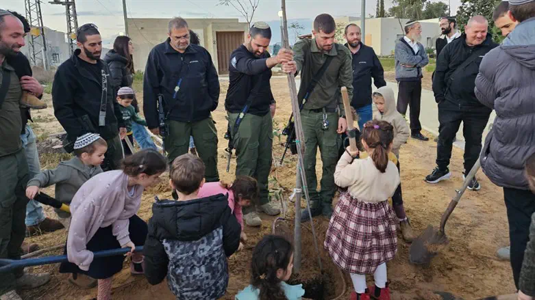 הנטיעות בכרם שלום