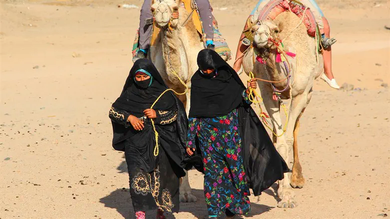 Women-cameleers from Bedouin village