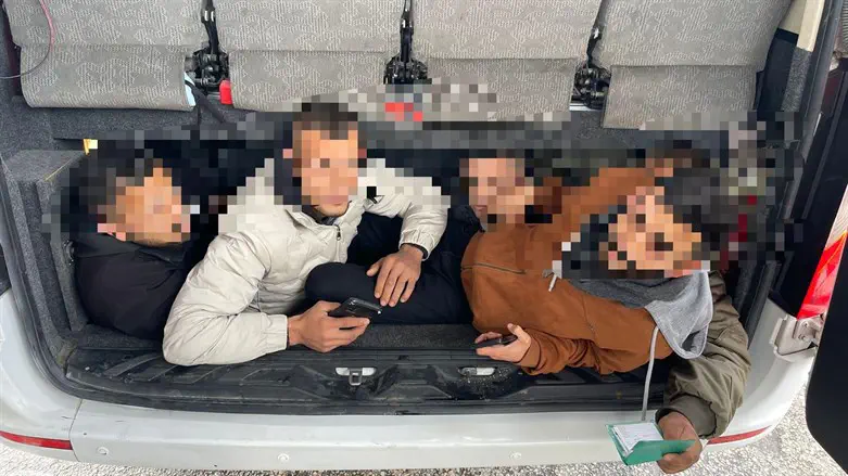 Захват нелегалов