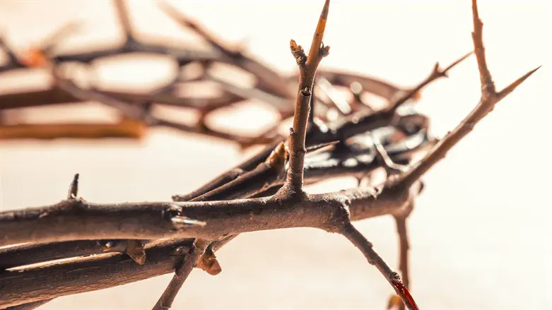A thorn