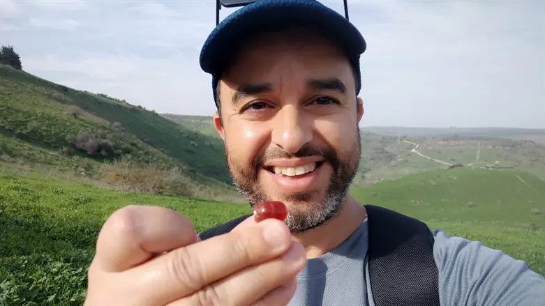 החרפושית בידיו של המטייל