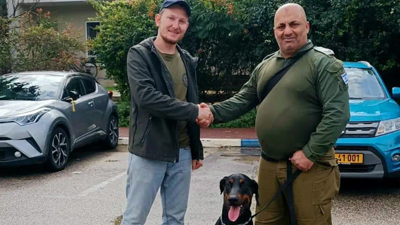 The new dog is delivered to Arab al-Aramshe