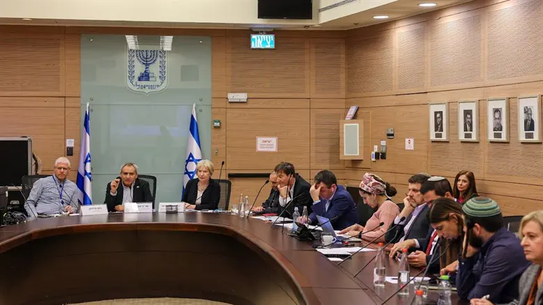 הדיון בוועדה