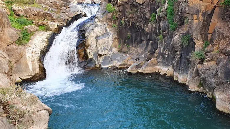 Golan waterfall