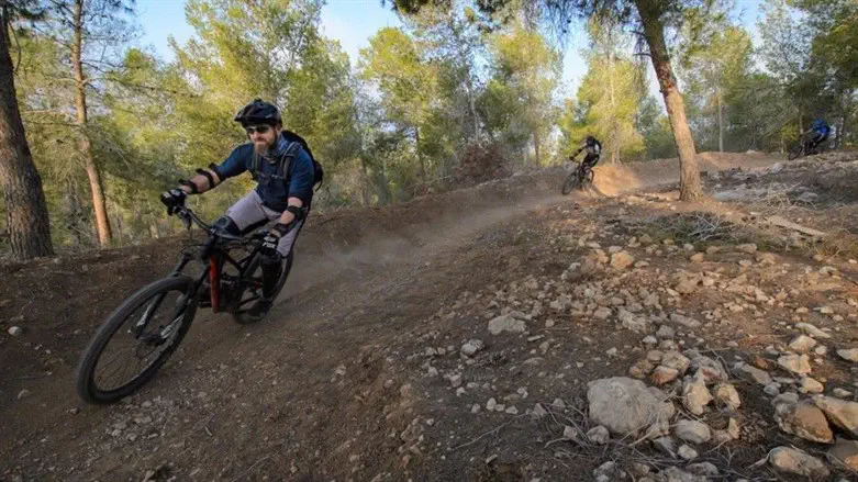 סינגל ביער להב