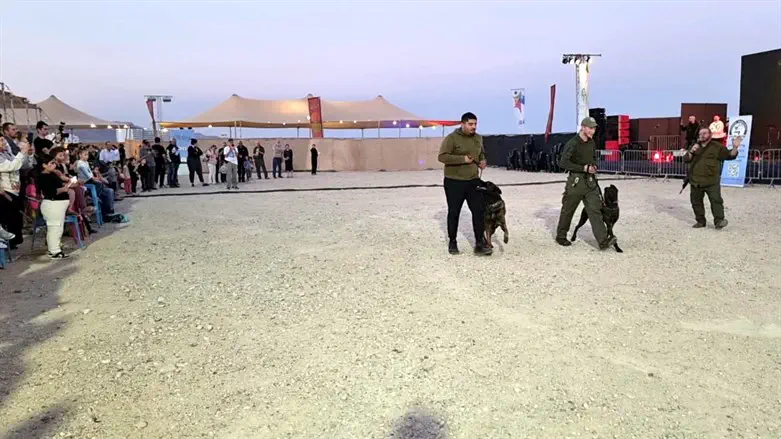 The exhibition near the Dead Sea