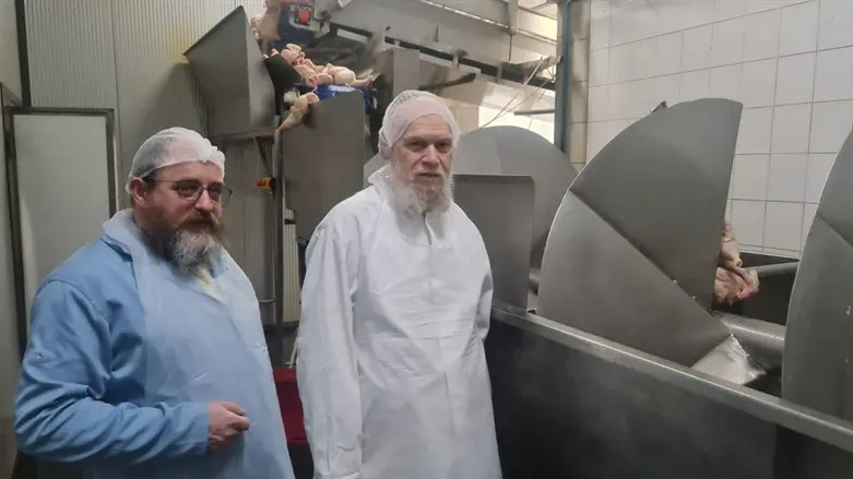 Раввины-мясники