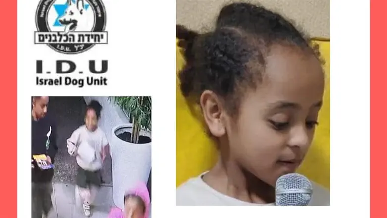 Flyer being distributed as part of the search