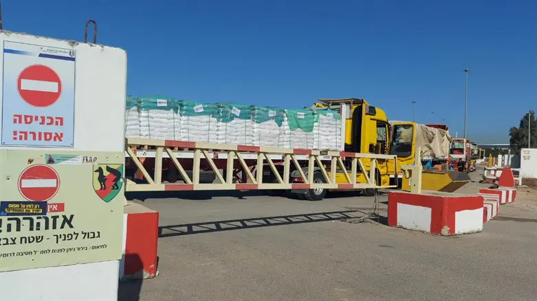 Грузовики с гуманитарной помощью, направляющиеся в Газу