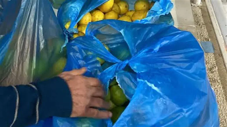 Chasdei Avraham Yaakov