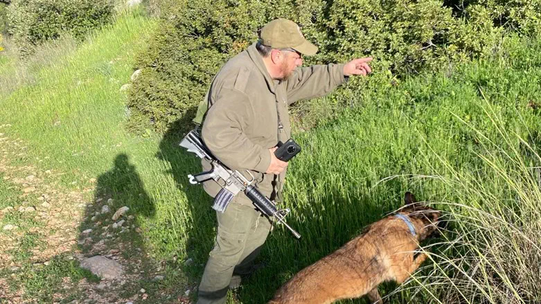 Searching for Yoram Fliter