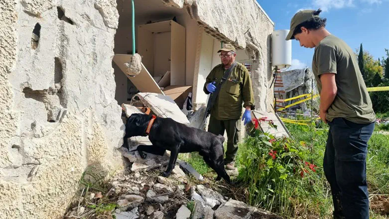Search for remains near Gaza