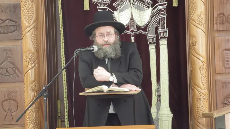 הרב אלון