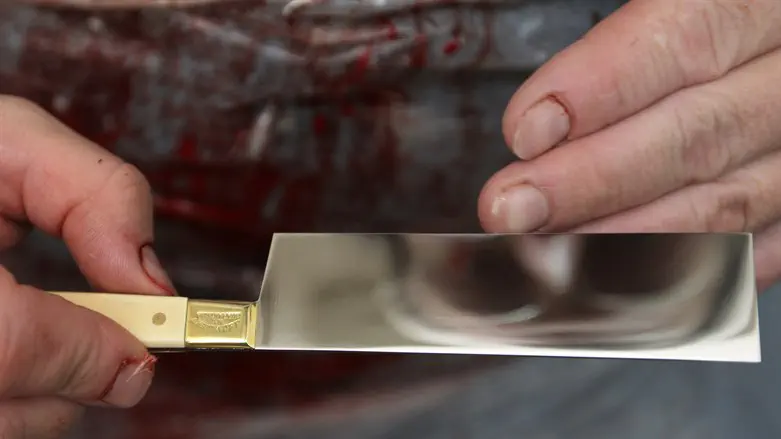 Нож для шхиты