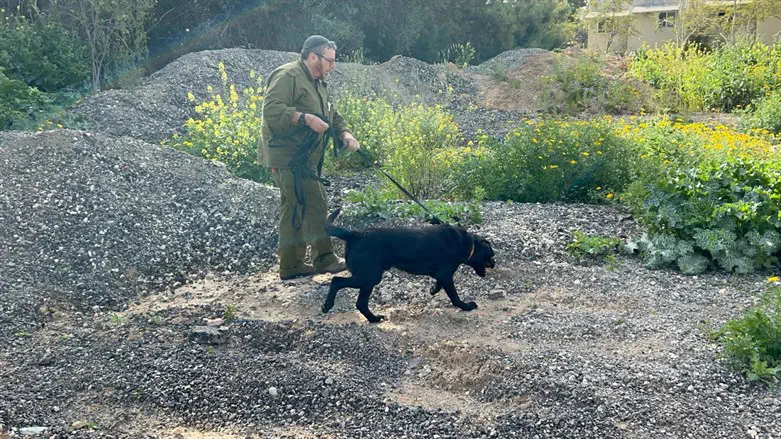 Search for remains near Gaza
