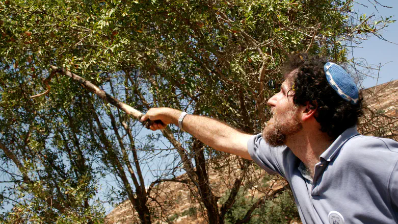 אריק אשרמן