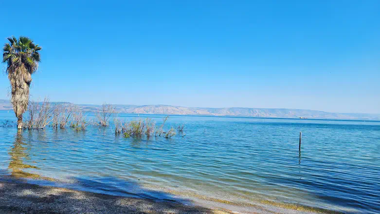 מפלס גבוה בכינרת