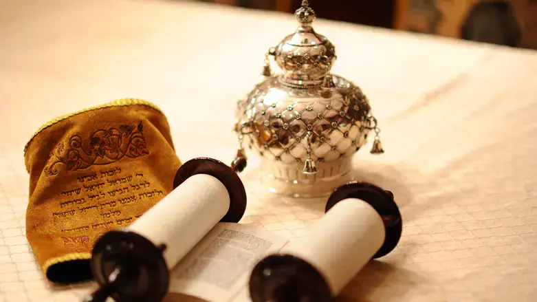 Torah scroll, illustration