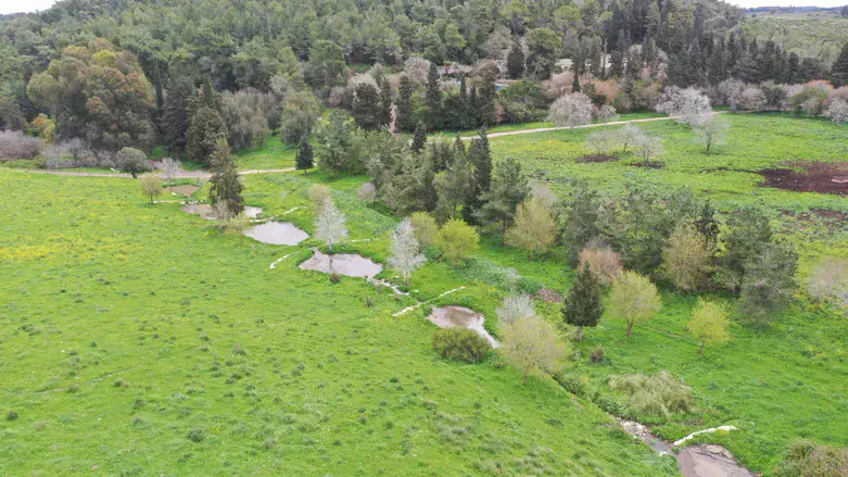 ניהול נגר עילי ממשק חקלאי במעלה נחל גחר.