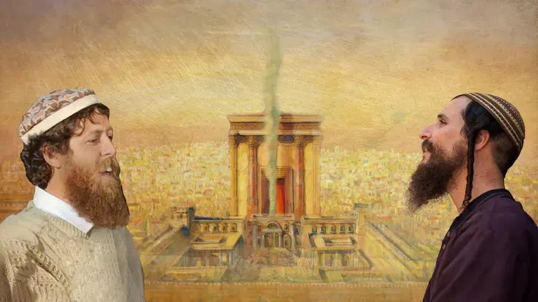 הראל טל ופורת נוב