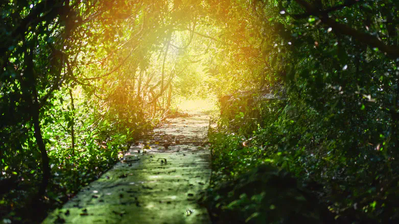 Pathway to redemption