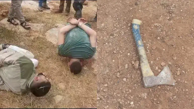 the suspects and their weapon