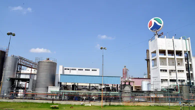 Tnuva factory
