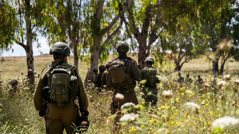 IDF forces train in north