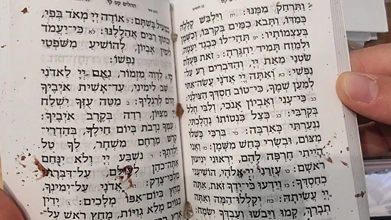 Rina Dee Hy"d Book of Psalms