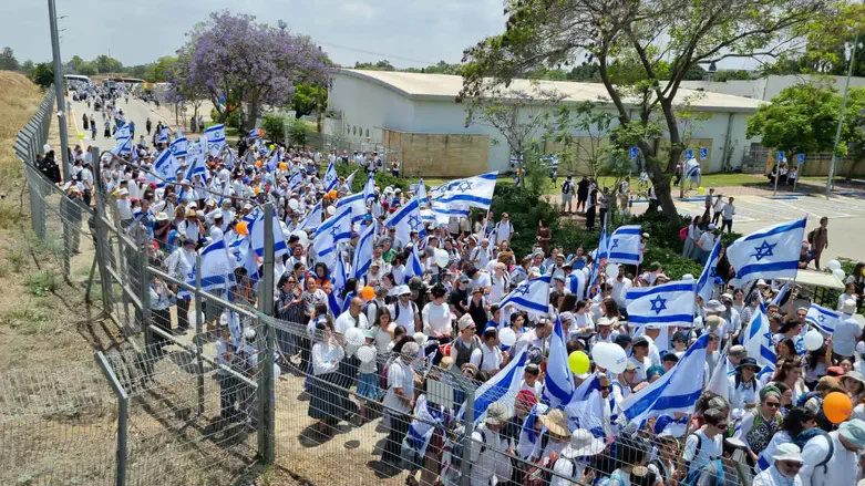 צעדה בשדרות, ארכיון