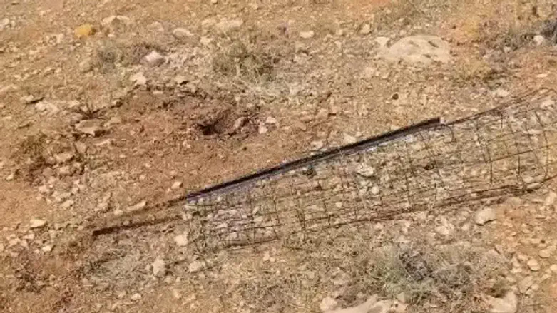 Выкорчеванный виноградник в Нокдим. Иллюстрация