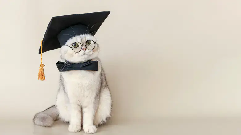 אילוסטרציה