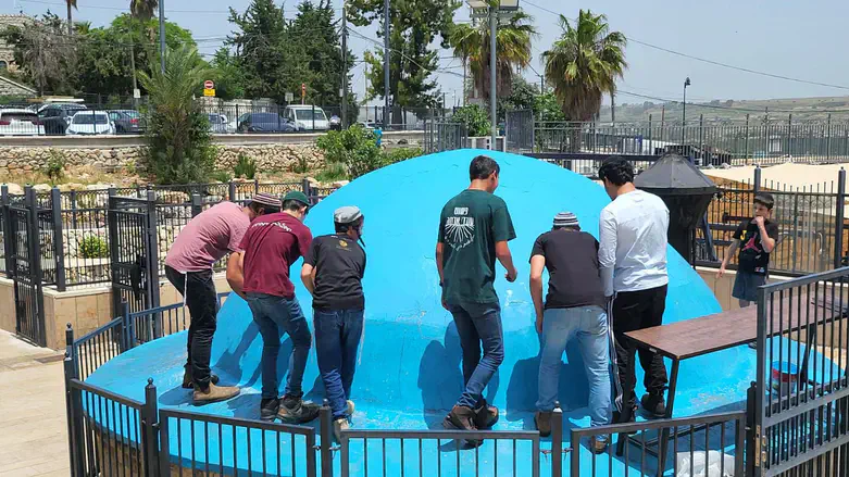 תלמידי הישיבה צובעים את קבר הרשב"י
