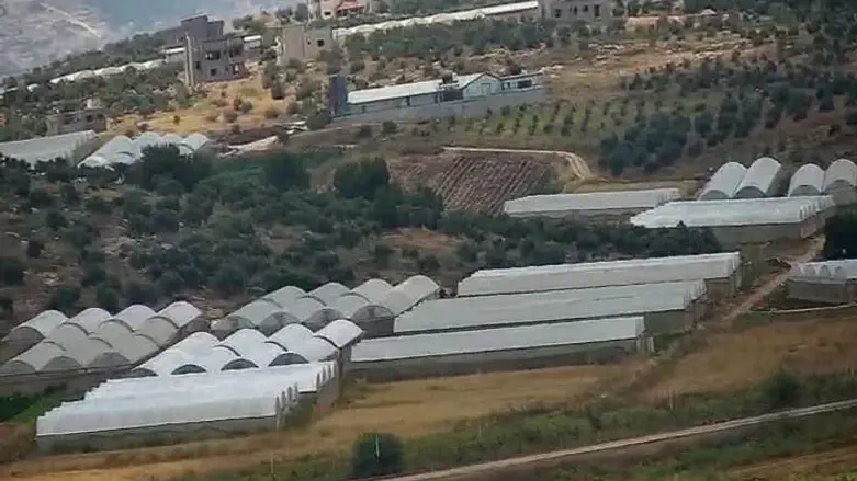 החממות שהפכו מסתור למחבלים