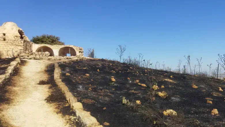הר כביר שרוף