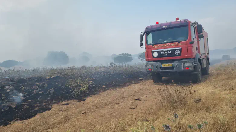 שריפת יער בצפון הגולן