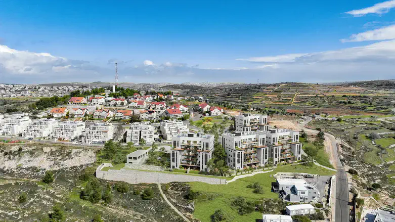 הדמיה. כרמי צור